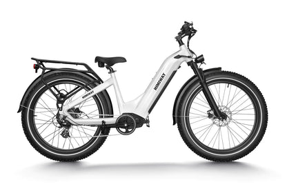 Himiway Zebra Schweiz, Step Thru, Himiway Schweiz, E-Bike, E-Fatbike- Himiway.ch